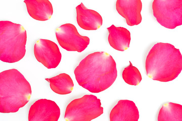 Pink rose petals isolate on white background