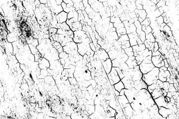 crack ground for abstract background on white background