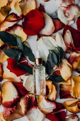 Moisturizing serum in a plastic or glass bottle of colored rose petals. Create a natural serum or lotion from flower extracts. Homemade skincare natural rose water/essential oil product