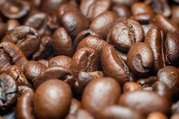 the fragrant invigorating grain coffee