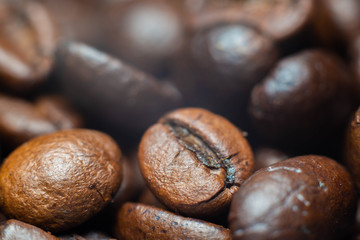 the fragrant invigorating grain coffee