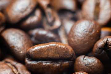 the fragrant invigorating grain coffee