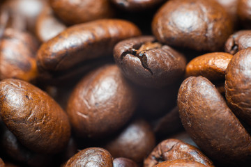 the fragrant invigorating grain coffee