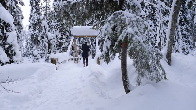Slow motion of Female walking away on Bridge in snowy Winter Landscape in forest, Static shot