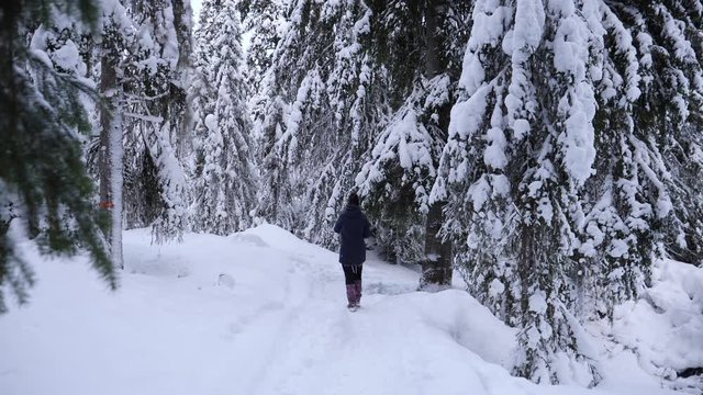 Slow motion female walking away on Snow Covered hiking path in forest, Static shot