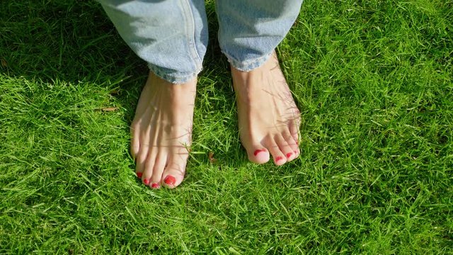 Bare female feet wriggle toes in sunny green grass, high angle