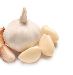 Fresh garlic on white background