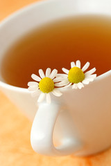 Chamomile infusion. Matricaria chamomilla