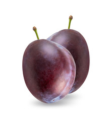 Plum isolated on white background with clipping path