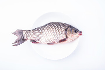 A fresh catfish on a plate against white background