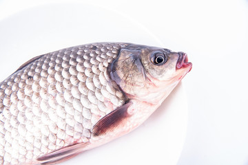 A fresh catfish on a plate against white background