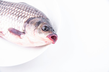 A fresh catfish on a plate against white background