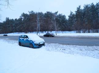 Cars are different near the asphalt road near the winter forest.