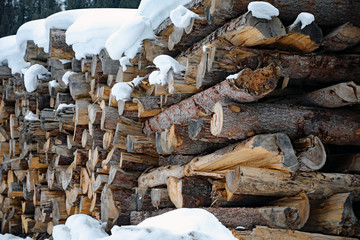 Holzvorrat © Klaus Eppele