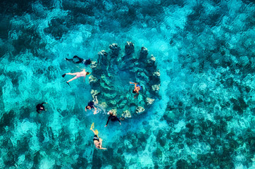 The people are snorkeling near the famous place on Gili Meno Island, Indonesia. Aerial view....
