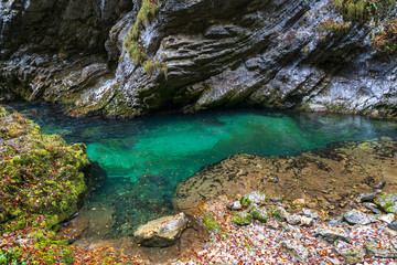 Naklejka na ściany i meble Vintgar gorge in Slovenia with turquoise river water in autumn season