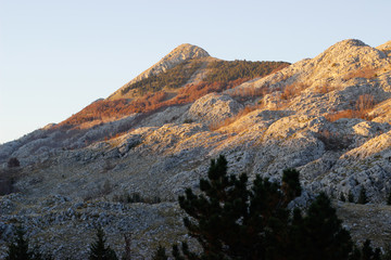 mountains against a blue sky and trees
