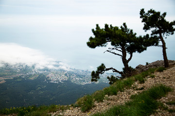 Fototapeta na wymiar View of the city of Yalta from Mount Ai-Petri.