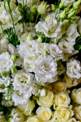 Rose cappuccino, brunia, daffodil, Eustoma, lisianthus, ranunculus, Skimia the most beautiful bouquet of flowers this year