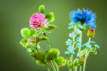 Wildflowers on a green background. Pink clover, forget-me-not and cornflower. The beauty of wildflowers. Clover on a background of cornflower and forget-me-not.