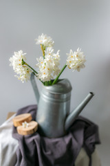 flowers daffodils, delicate and beautiful bouquets