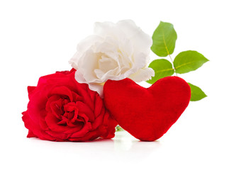 Fototapeta na wymiar Red and white roses.