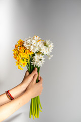 bouquet of fresh daffodil, the most delicate flower in the collection