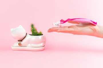 Obraz na płótnie Canvas Green cactus in a white flowerpot like cat and a woman's hand holding a razor in palm on a pink background. The concept of depilation, epilation and removal unwanted hair on the body. Copy space