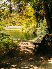Bench and reflected trees near a lake