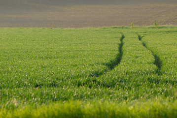 spring in Germany