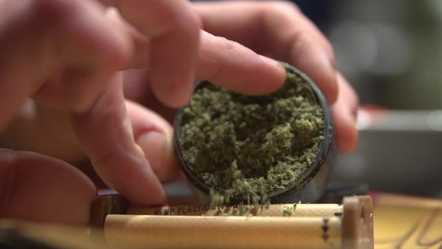 Close up white fingers Pinching finely ground marijuana from grinder packing into cigarette roller.