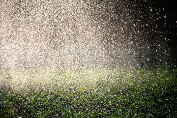 Water sprinkler system in the morning sun on a plantation