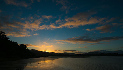 Obraz premium Silhouette of plants at sunset