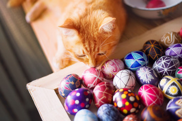 Home red cat and easter eggs on the table.