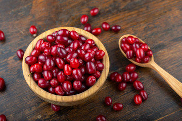 fresh dogwood on a wooden background