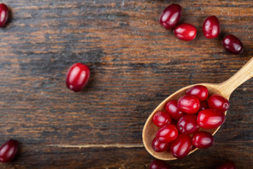 fresh dogwood place for text