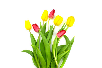 Bouquet of yellow and red tulips flat lay isolated on white background. Spring floral composition layout Top view with copy space. Womans day, valentines day, mothers day celebration. Stock photo.