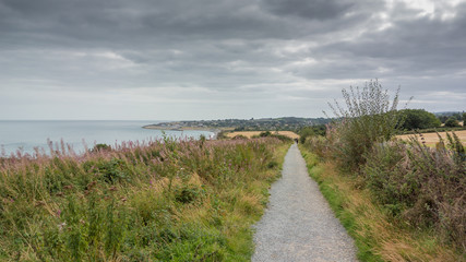 Coastal walking trail with a view of the Irish sea on a grey overcast day near Greystones, County Wicklow, Ireland.