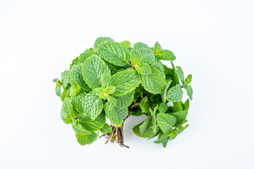 A handful of fresh spice mint leaves on white background