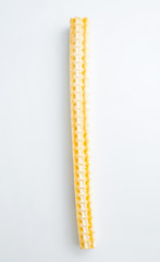 A dried shark bone on white background