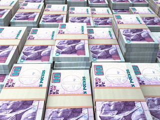 Egyptian pounds. Money of Egypt banknotes, financial background. EGP. Closeup shot