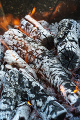 Burning wooden branches in the grill. Close up