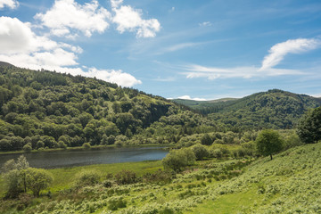 The Lower Lake and hilly woodland on a Summer's day at Glendalough National Park, County Wicklow, Ireland.