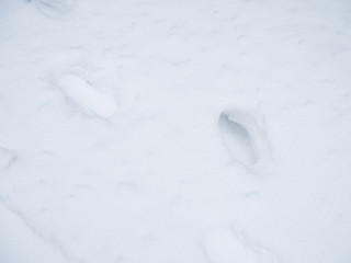 Human footprints in deep snow on sunny day