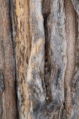 Wood texture with a gap in the middle