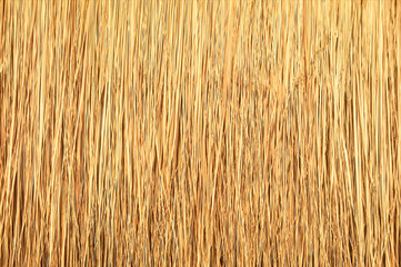 Close up of thatch roof background, Hay or dry grass background, Thatched roof, Grass hay, dry straw, Roof background texture.