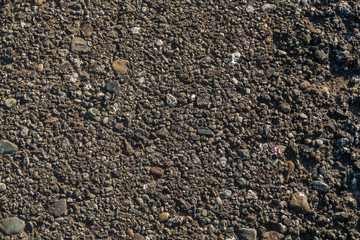 The texture of asphalt and small stones