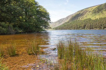 View of the Upper Lake at Glendalough National Park in County Wicklow, Ireland.