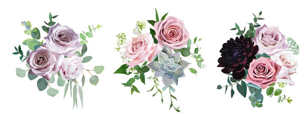 Fototapeta Dusty pink and mauve antique rose, pale flowers vector design wedding bouquets obraz