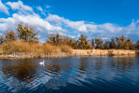 strahlend blauer Himmel &uuml;ber dem Naturschutzgebiet Eriskircher Ried am Bodensee
